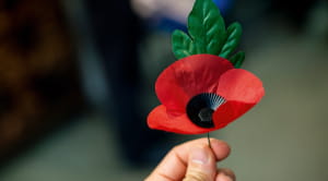 A British Legion poppy